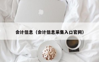 会计信息（会计信息采集入口官网）