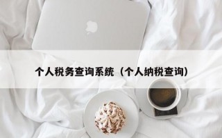 个人税务查询系统（个人纳税查询）