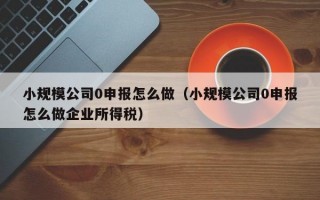 小规模公司0申报怎么做（小规模公司0申报怎么做企业所得税）