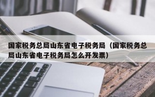 国家税务总局山东省电子税务局（国家税务总局山东省电子税务局怎么开发票）