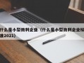 什么是小型微利企业（什么是小型微利企业标准2021）