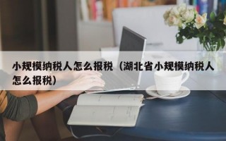 小规模纳税人怎么报税（湖北省小规模纳税人怎么报税）