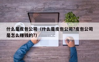 什么是皮包公司（什么是皮包公司?皮包公司是怎么赚钱的?）