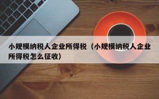 小规模纳税人企业所得税（小规模纳税人企业所得税怎么征收）