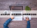 山东国税网（山东国税网上申领发票流程图）