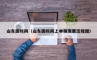 山东国税网（山东国税网上申领发票流程图）