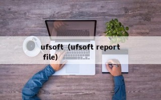 ufsoft（ufsoft report file）