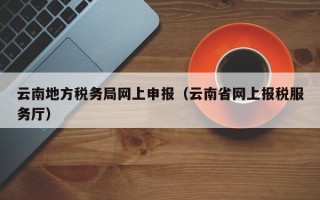 云南地方税务局网上申报（云南省网上报税服务厅）