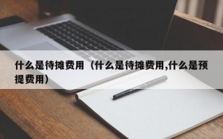 什么是待摊费用（什么是待摊费用,什么是预提费用）