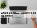 山东省电子税务局app（山东省电子税务局app下载官方）