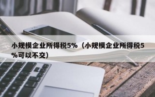 小规模企业所得税5%（小规模企业所得税5%可以不交）