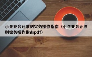 小企业会计准则实务操作指南（小企业会计准则实务操作指南pdf）