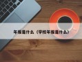 年报是什么（学校年报是什么）