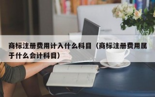 商标注册费用计入什么科目（商标注册费用属于什么会计科目）