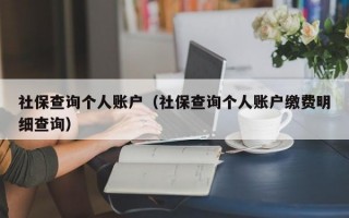 社保查询个人账户（社保查询个人账户缴费明细查询）