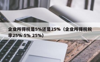 企业所得税是5%还是25%（企业所得税税率25% 5% 25%）