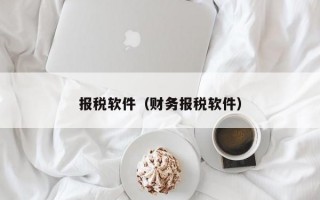 报税软件（财务报税软件）