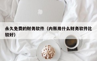 永久免费的财务软件（内账用什么财务软件比较好）