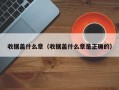 收据盖什么章（收据盖什么章是正确的）