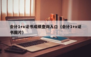 会计1+x证书成绩查询入口（会计1+x证书图片）