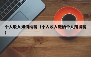 个人收入如何纳税（个人收入缴纳个人所得税）