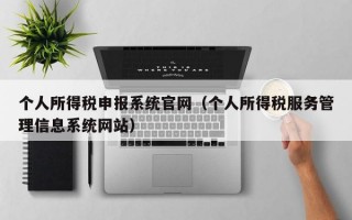 个人所得税申报系统官网（个人所得税服务管理信息系统网站）