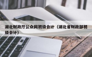 湖北财政厅公众网初级会计（湖北省财政部初级会计）