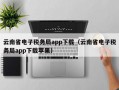 云南省电子税务局app下载（云南省电子税务局app下载苹果）