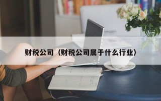 财税公司（财税公司属于什么行业）