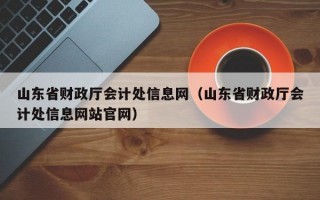 山东省财政厅会计处信息网（山东省财政厅会计处信息网站官网）