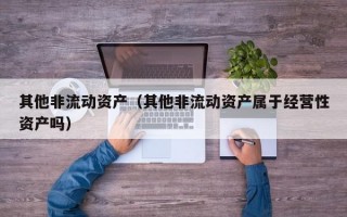 其他非流动资产（其他非流动资产属于经营性资产吗）