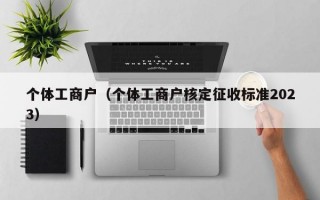 个体工商户（个体工商户核定征收标准2023）