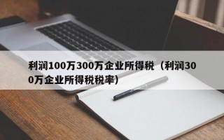 利润100万300万企业所得税（利润300万企业所得税税率）