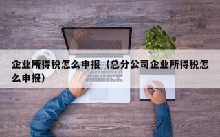 企业所得税怎么申报（总分公司企业所得税怎么申报）