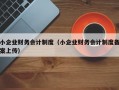 小企业财务会计制度（小企业财务会计制度备案上传）