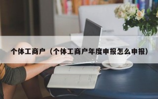 个体工商户（个体工商户年度申报怎么申报）