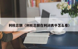 利税总额（利税总额在利润表中怎么看）