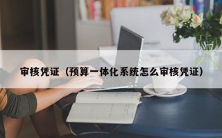 审核凭证（预算一体化系统怎么审核凭证）